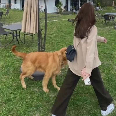 被称为爸爸的女人